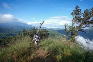 BIB: 
                            <button type="button" onclick="openModal(22371755)" class="btn btn-primary btn-sm float-right btn-popup" data-toggle="modal" data-target=".modal-high-quality">
                        <i class="fas fa-shopping-cart"></i> Add to Cart
                    </button>
                                            <button type="button" onclick="isThisMe(22371755, true)" class="btn btn-success btn-sm float-right btn-popup btn-isme hidden" data-toggle="tooltip" data-placement="bottom" title="นี่คือรูปของคุณใช่ไหม คลิกที่นี่เพื่อเอาเข้าอัลบั้ม">
                        <i class="fas fa-plus"></i> Add to album
                    </button>
                    <button type="button" onclick="isThisMe(22371755, false)" class="btn btn-warning btn-sm float-right btn-popup btn-isnotme hidden">
                        <i class="fas fa-ban"></i> Remove from album
                    </button>